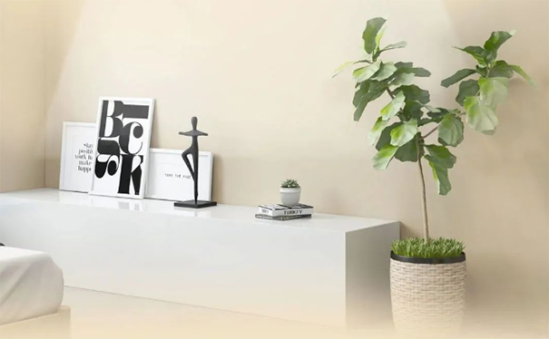 墻面臟污、發(fā)霉、不整潔怎么辦？